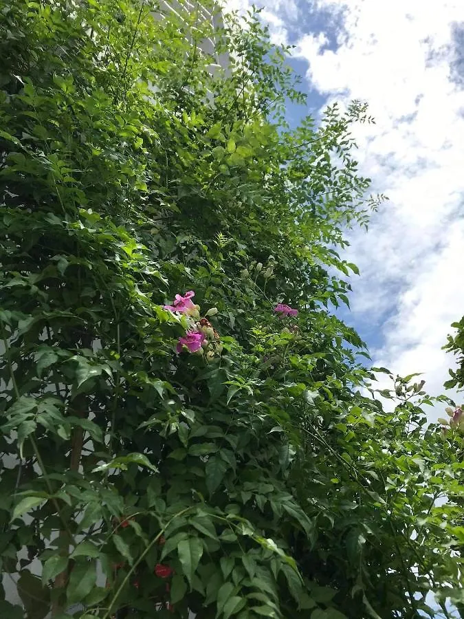 Homestay Star Garden Hoi An Apartment Vietnam