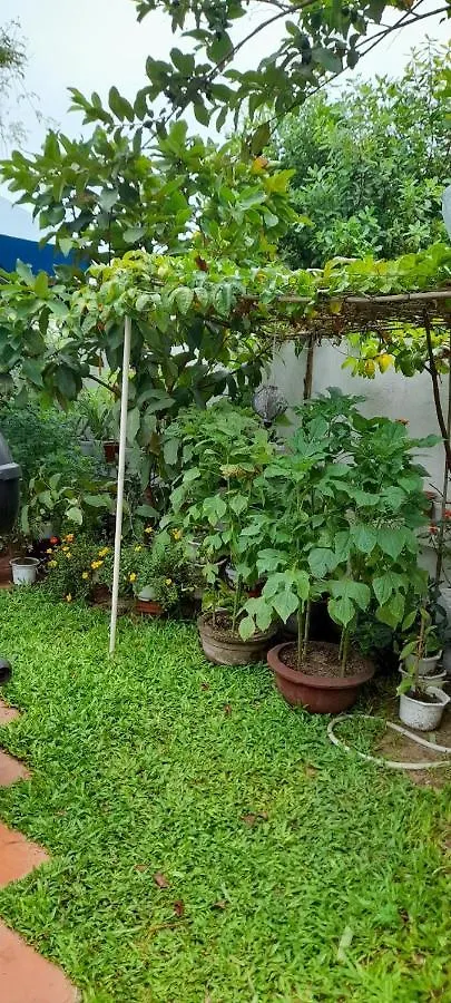 Star Garden Hoi An Apartment Homestay