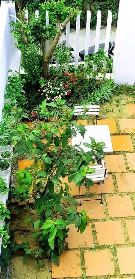 Star Garden Hoi An Daire Pansiyon